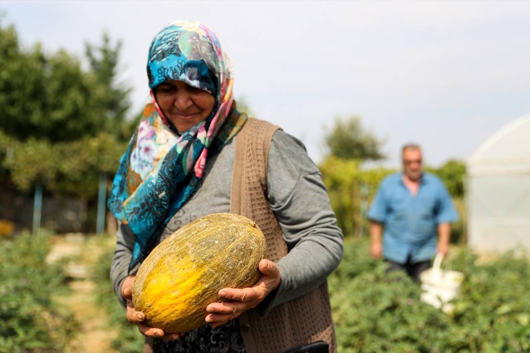 Özelliğini duyan Konya’daki bu bahçeye koşuyor 7